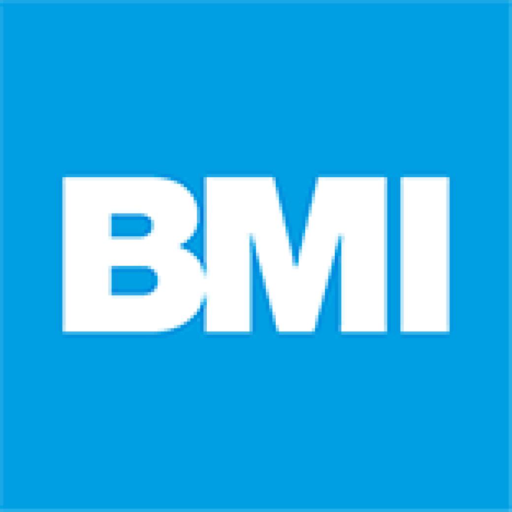 BMI Group Holzstempel 50x20 mm